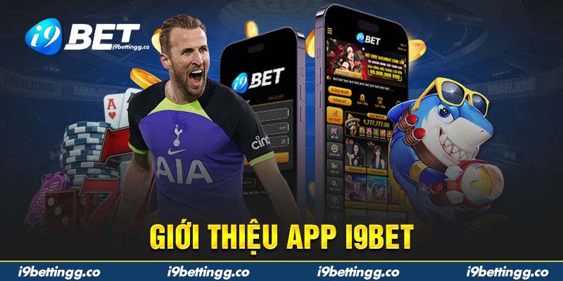 Tổng quan App I9Bet