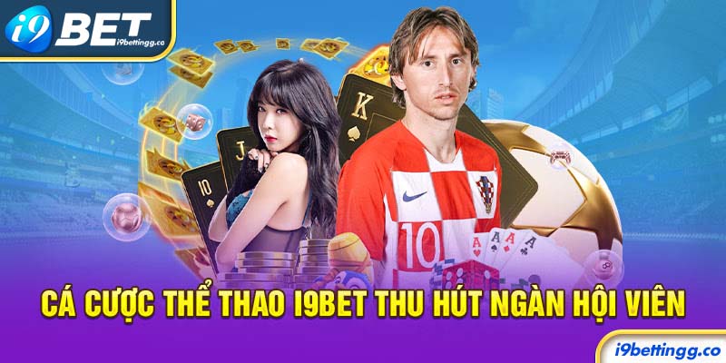 Cá cược thể thao ibet thu hút nhiều hội viên trải nghiệm